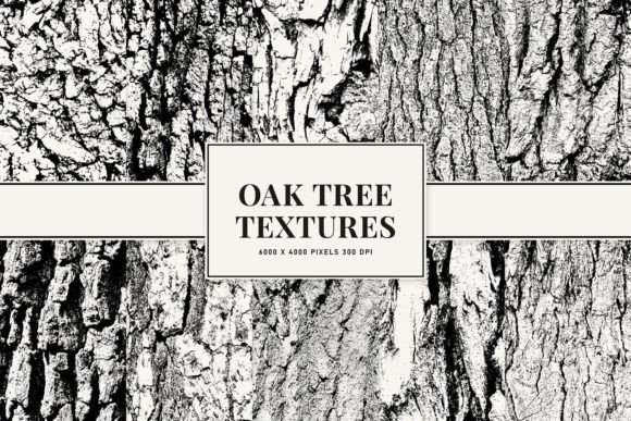 Oak Tree Textures